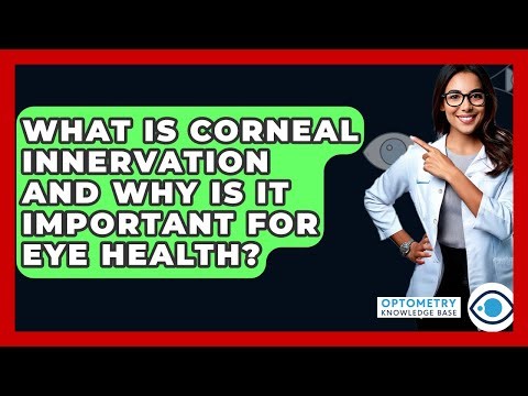 What Is Corneal Innervation And Why Is It Important For Eye Health? - Optometry Knowledge Base