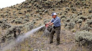 13K views · 394 reactions | Do you carry bear spray out hiking in bear country? Our Yellowstone Forever Institute Senior Naturalist, Brad Bulin, recently talked with us about why bear spray is an effective bear deterrent as well as when and how to use it. For more Yellowstone safety tips, see our website at https://www.yellowstone.org/enjoying-yellowstone-safely/. | Yellowstone Forever | Facebook