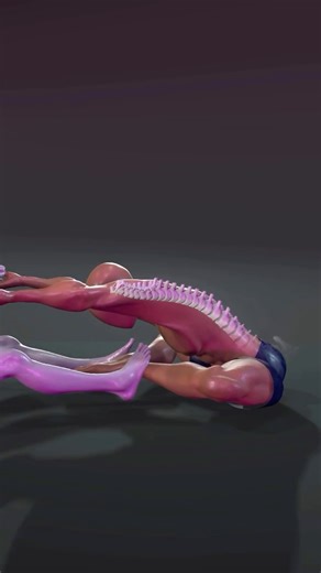 Partner Stretch to Open Hips & Inner Thighs A gentle, guided stretch to improve hip mobility and release inner-thigh tension. Move slowly, breathe out, and let the stretch deepen naturally. 👉 Save this and follow @lazyfitchallenge for simple mobility routines #hipmobility #innerthighstretch #partnerstretch #lazyfit #recoverymovement | Cardio Exercises