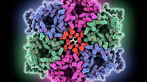 Hydrogen from urea. World clean energy research.