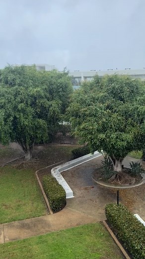 🌧️ Heavy rain slammed Pacific Beach earlier today! Wild weather for San Diego. ⚡🌴 #PacificBeach #SanDiegoWeather #RainStorm | The Best of San Diego