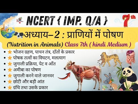 Class 7 Science Ch-2 | NCERT solution in Hindi | Nutrition in Animals | Science Chapter-2 | Most ...