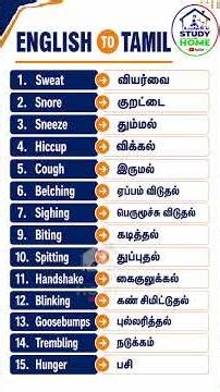Spoken English classes in tamil class 66 #spokenenglishthroughtamil#englishintamil#educationalvideo