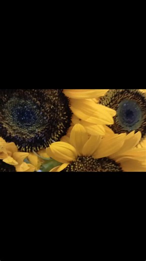 Videos de para(flores)iso. (@danielsanchez7591) con “DARK HORSE FLOW - Tyffanne Latifah”