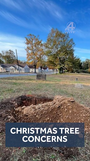 Upstate community voices concerns after tree from cemetery moved for holiday display Find out the city's response: https://tinyurl.com/mpknsx2y #SouthCarolina #community #Concern #upstatesc #spartanburgsc #holidayseason #Christmas #dennys #christmastree #cemetery #historical #controversial #fypageシ #foryoupageシ #hurricane #helene #removal | WYFF News 4