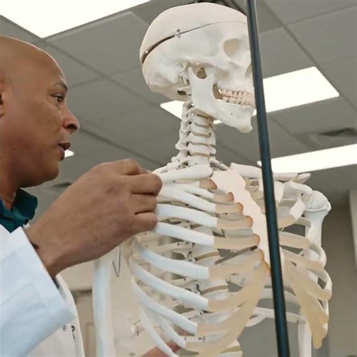 Biomedical Sciences Masters @ Barry — Accelerate Your Medical or Science Career