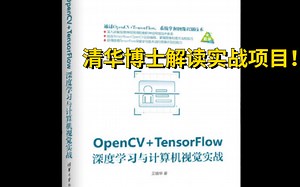 【OpenCV+TensorFlow2.0】清华博士超强解读企业级实战项目，简直太棒了！-人工智能/机器学习/AI/计算机视觉