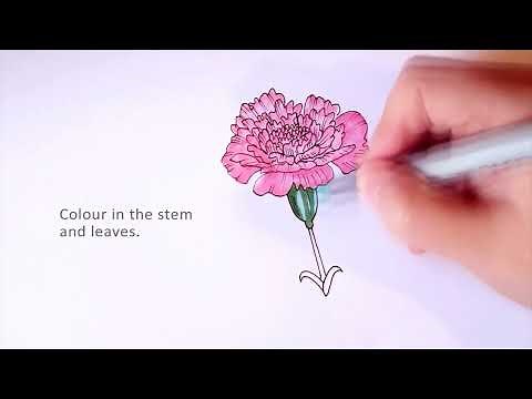 How to draw a carnation flower for a mothers day card in less than 5 minutes!