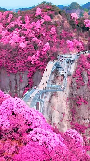 StreetArtGlobe ™ 😱 on Instagram: "How about these views of the Ruyi Bridge, a surreal glass-bottomed curvy and bending bridge in the Zhejiang province in China? 🤯✨ Opened in September 2020, visitors can enjoy the views from this bridge at 140 meters high above the Shenxianju Valley. This province has many must-see attractions, including West Lake, Lingyin Temple, and Dragon Well Tea Plantation among others, making it well-worth a visit! 😍 Would you like to visit this place? 🇨🇳 With @khanjip