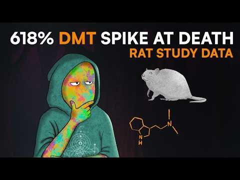 Why Your Brain Floods with DMT at Death