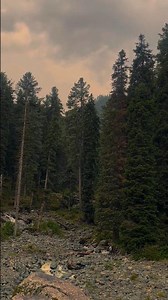 Your Next Trip Starts Here 💕🌿 || #shorts #travel #jannatkashmir #kashmirtour #viral