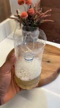 Homemade Fly Trap