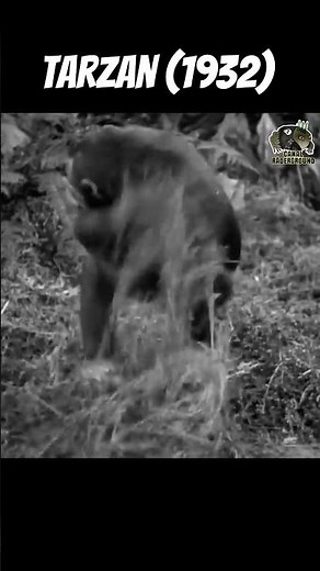 Tarzan, o Filho das Selvas (Tarzan the Ape Man) (1932)