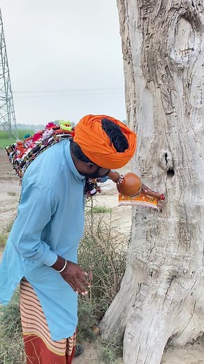 Tree Snake Rescue: A Wildlife Adventure