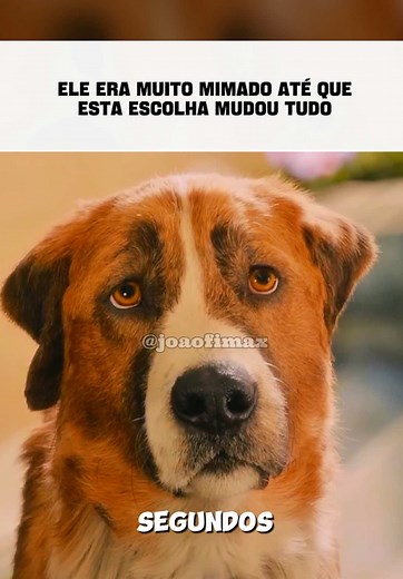 O Chamado da Floresta - Final do Filme: o destino de Buck