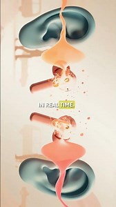 Transparency Mode in 50 seconds #transparency #wirelessearphone #techshorts #explained