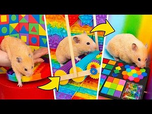 ハムスターのための巨大Pop-Itめいろを作ろう！🐹🌈