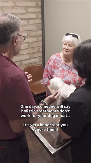 One day, someone will say holistic care “doesn’t work” for dogs or cats. But that same pet might still be itchy, inflamed, anxious, or in pain… even after years of medication. Holistic integrative medicine looks deeper: ✔️ Why is the gut inflamed? ✔️ Why is the immune system overreacting? ✔️ Why does this keep coming back? When acupuncture, nutrition, herbs, supplements, lifestyle changes are used intentionally, safely and combined with tradicional medicine, it can create real, lasting change. E