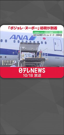 ボジョレ・ヌーボーの初荷到着と価格情報