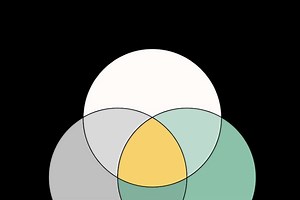 The Science of Emergent Phenomena