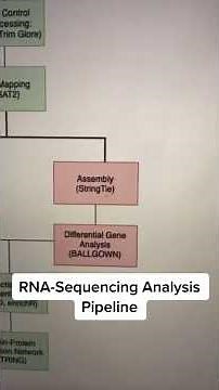 RNA Sequencing Analysis Pipeline