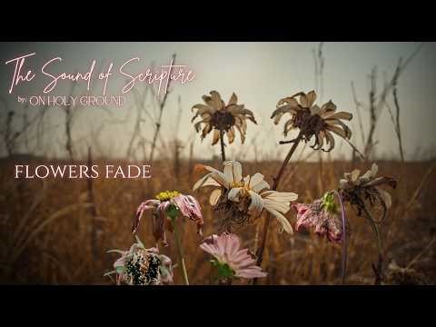 Flowers Fade