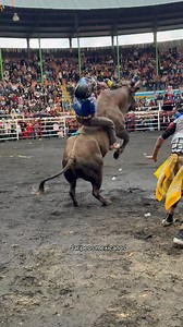 Ay Wey 🤯 Que Toro!!!! | Jaripeos mexicanos