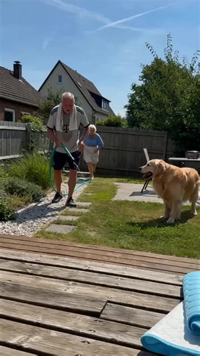 Gibt es in verschiedenen Größen, von klein bis XXL 😻🥰👏❄️ Für kleine Katzen und große Hunde 😁👌 #Kühldecke #Kühlmatte #DealsFürDich #SommerDeals #WirSchwimmenInAngeboten