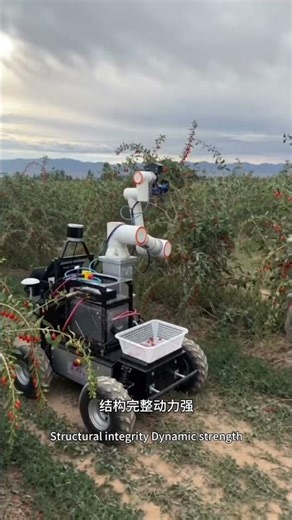 Fruit Picking Robot for Goji Berry & Strawberry | Smart Agricultural Harvesting Robot