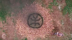 Find a good book for 2017... | Crypt TV