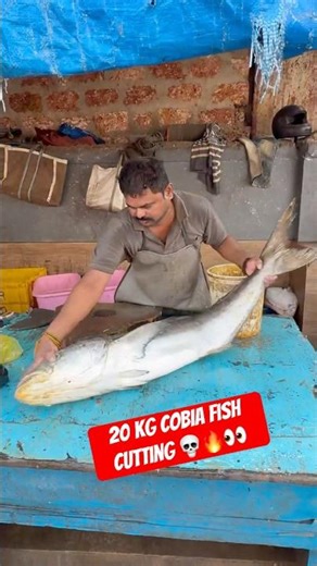 🐟⚔️ 20KG GIANT COBIA FISH CUTTING! Watch this monster get sliced with perfect skill! 😱🔥