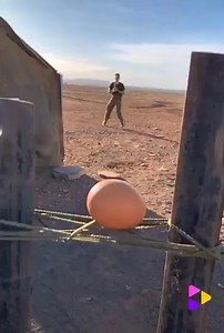 Excellent working skills and and the best interesting moments😲😲😲 (2) | Scenic