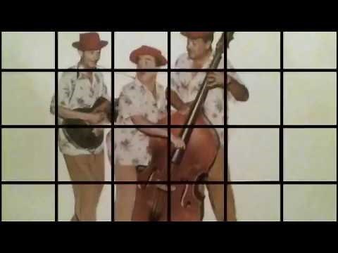 LOS TEX MEX .\n Rosita Alvirez