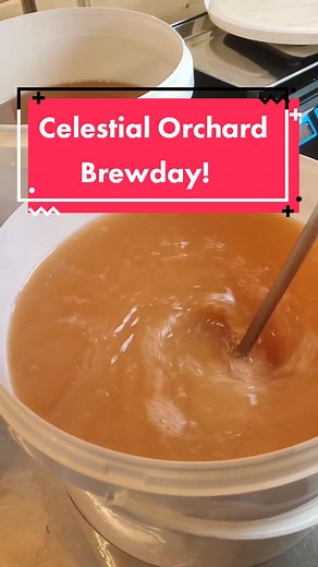 Arcane Alchemist Mead on TikTok