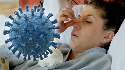 New variant of the flu virus is driving surge of cases across the Canada and US - The Weather Network