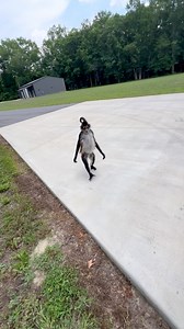 1M views · 39K reactions | Run, Johnny, run  | Keke Spidermonkey | Facebook