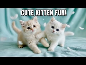 Cat Meowing Sounds Real Meows That Make Cats Respond