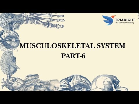 Musculoskeletal System PART-6- MEDICAL CODING