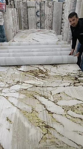 Exploring Intricate Carpet Designs in a Fabric Store