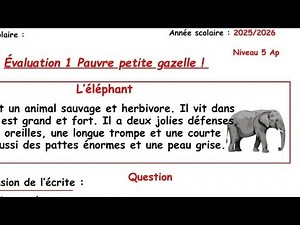 خامسة ابتدائي فرنسية حل امتحان الفصل الاول