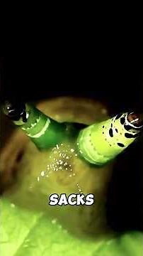 Creatures That Turn Animals Into Zombies 🐌