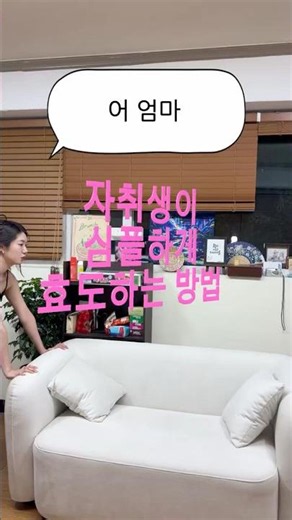 자취 시작하고 엄빠 효도하면서 인터넷 공짜로 쓰는 꿀조합 💸