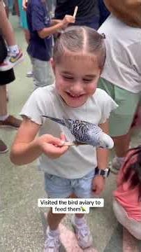 Our Day at Gatorland, FL