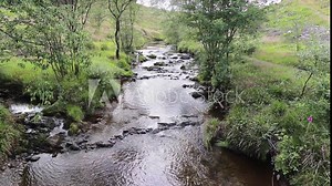 River Severn running through Hafren forest, in Powys, mid Wales