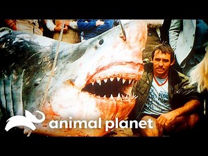 Shark Found in a LAKE?! | River Monsters | Animal Planet