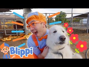 Blippi's BINGO Music Video! | Blippi & Blippi Wonders Educational Videos for Kids