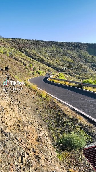 WRC 🫠 #rally #rallye #rallyefans #wrcmotorsport #flatout #pourtoi