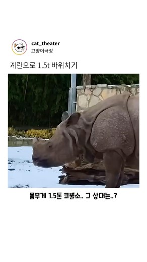 계란으로 1.5t 바위치기