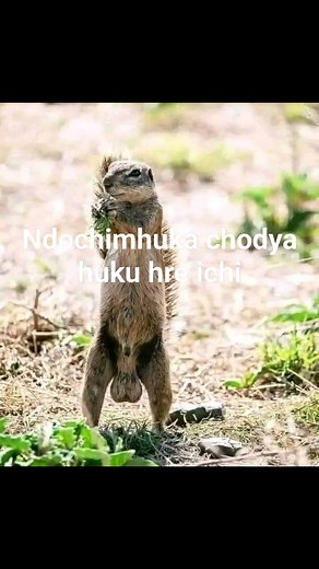 #stressreliefchallenge | Memory Mutoti