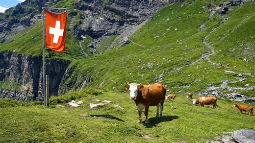 Prachtige wandelingen rond Oeschinensee in Kandersteg, Zwitserland (4K)